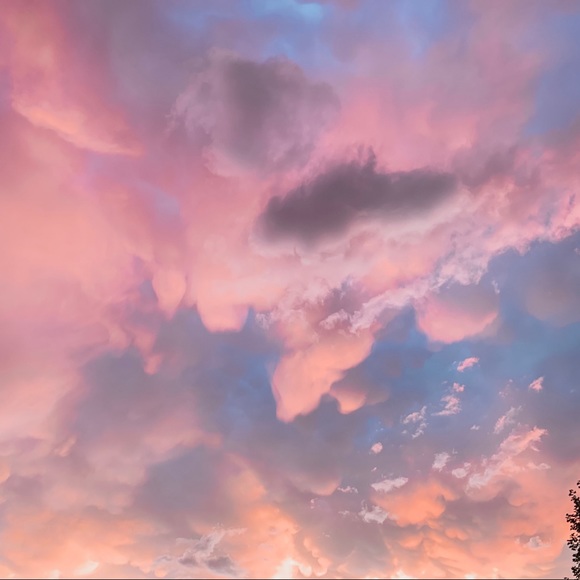 welcome to my closet !!! - Picture 4 of 11